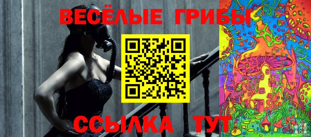 Галлюциногенные грибы Psilocybe  Вход с VPN  наркота  Ленинск-Кузнецкий 